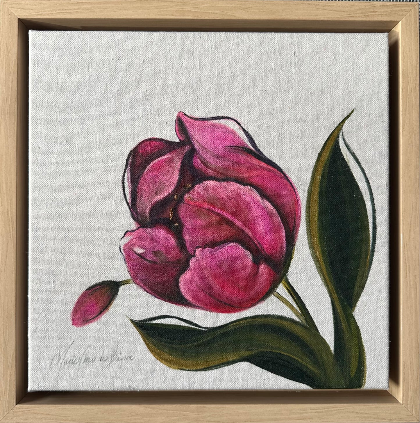 Triumph Tulip
