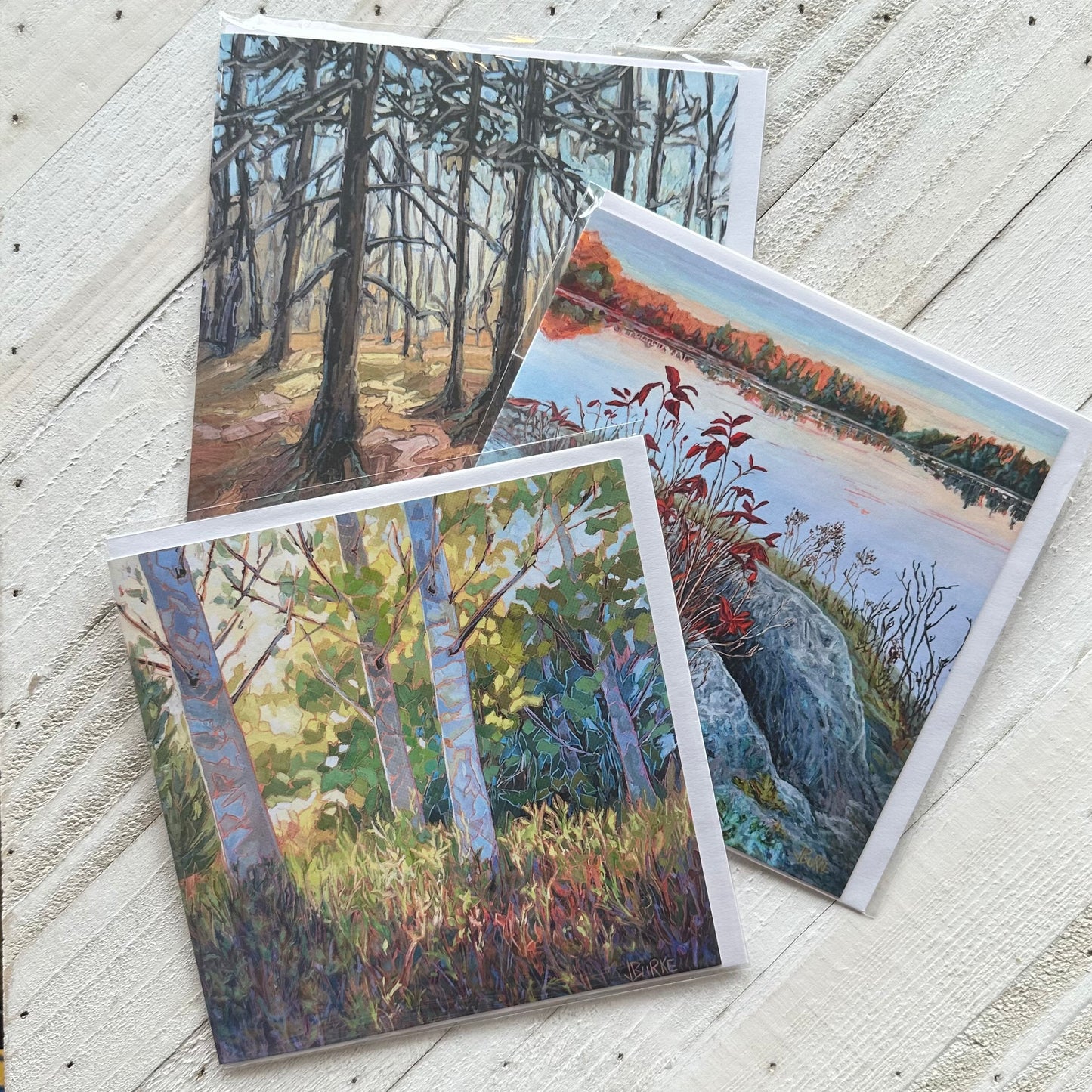 Landscape Art Cards Pack of Three