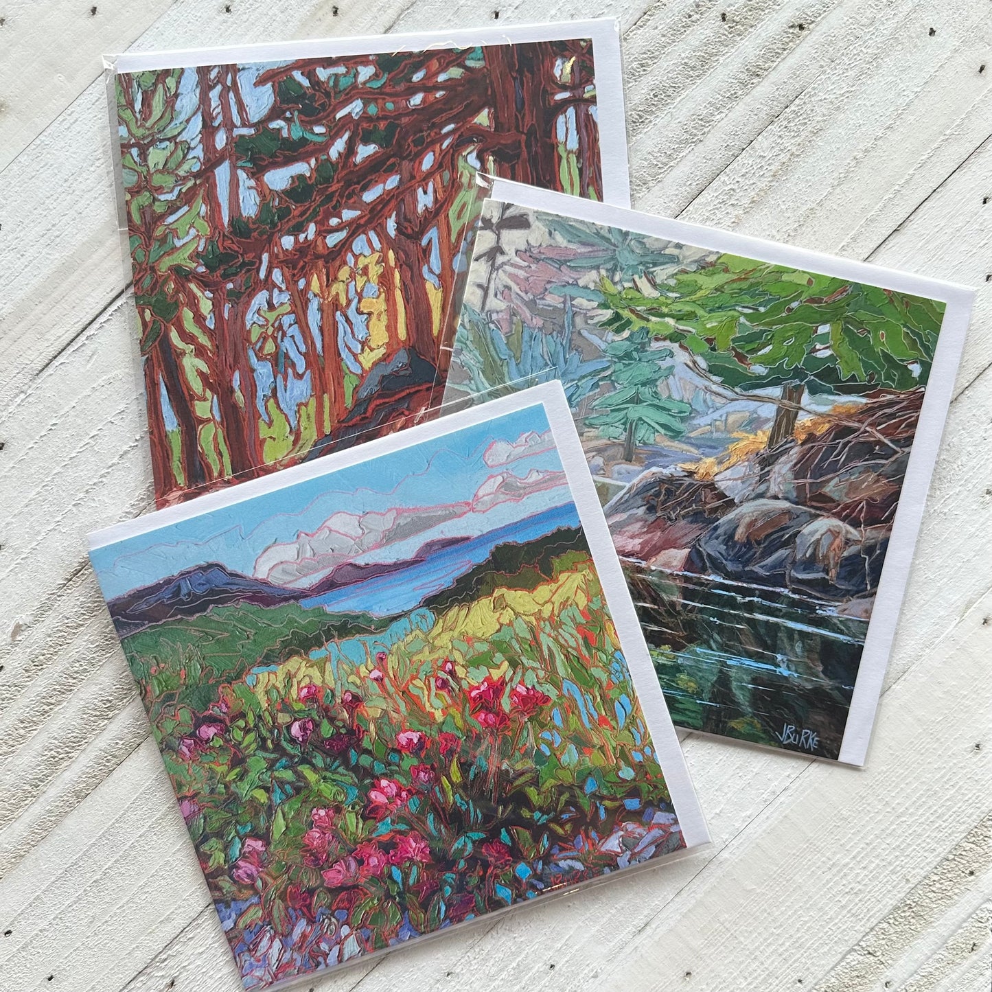 Landscape Art Cards Pack of Three