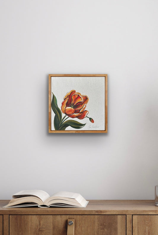 Perroquet Tulip