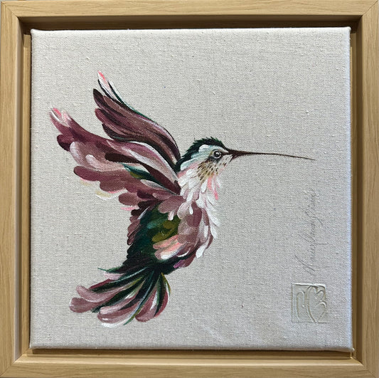 Mr. Hummingbird