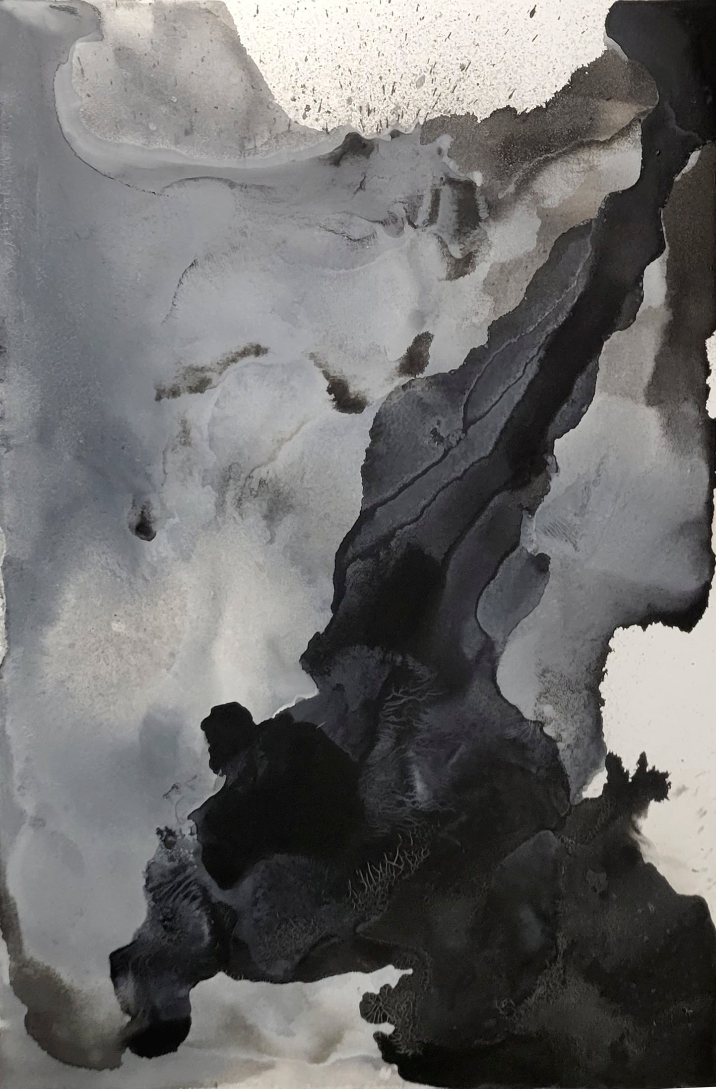 Santini Gallery | Organic Conceptions