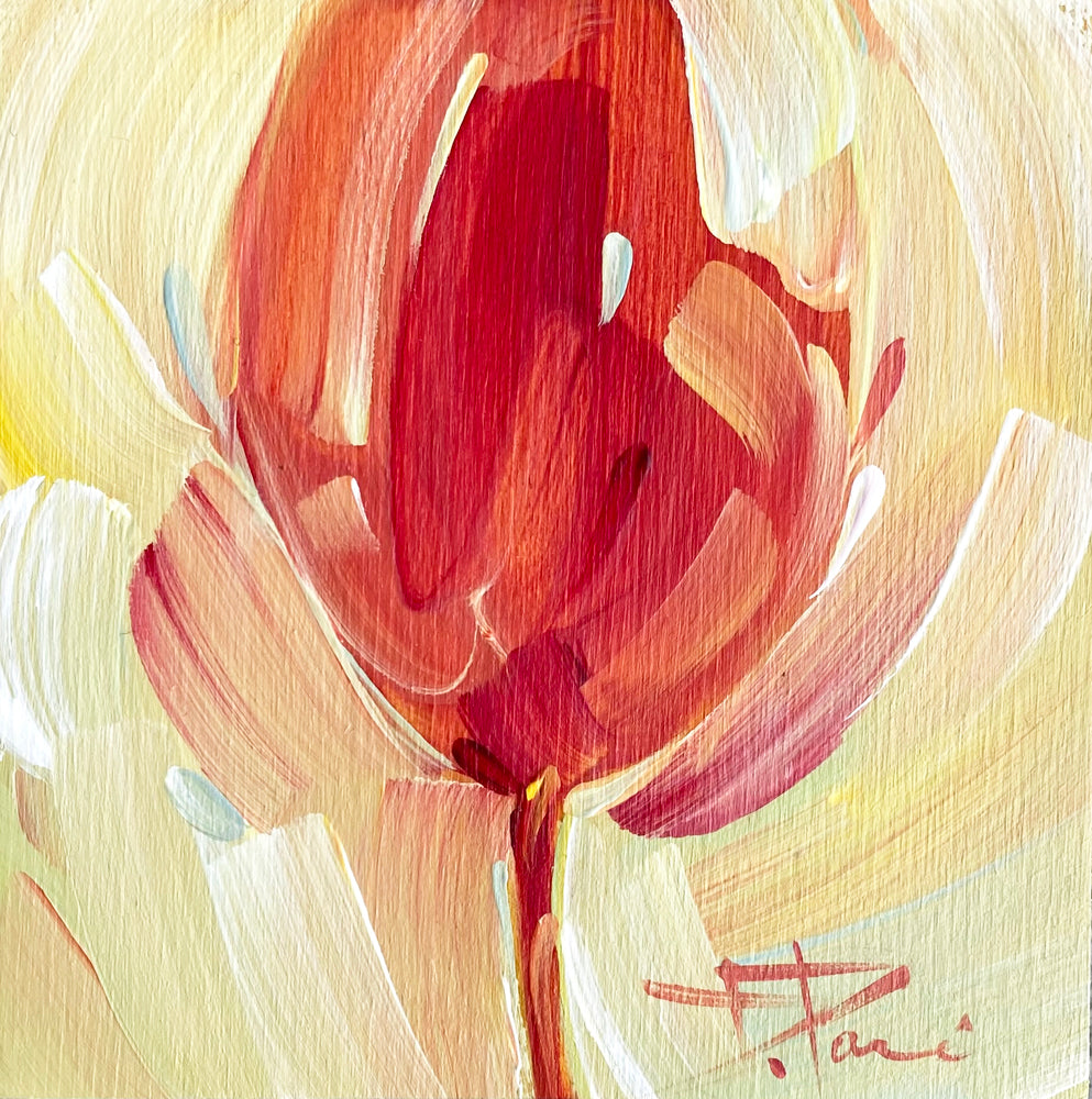 Tulipa Series