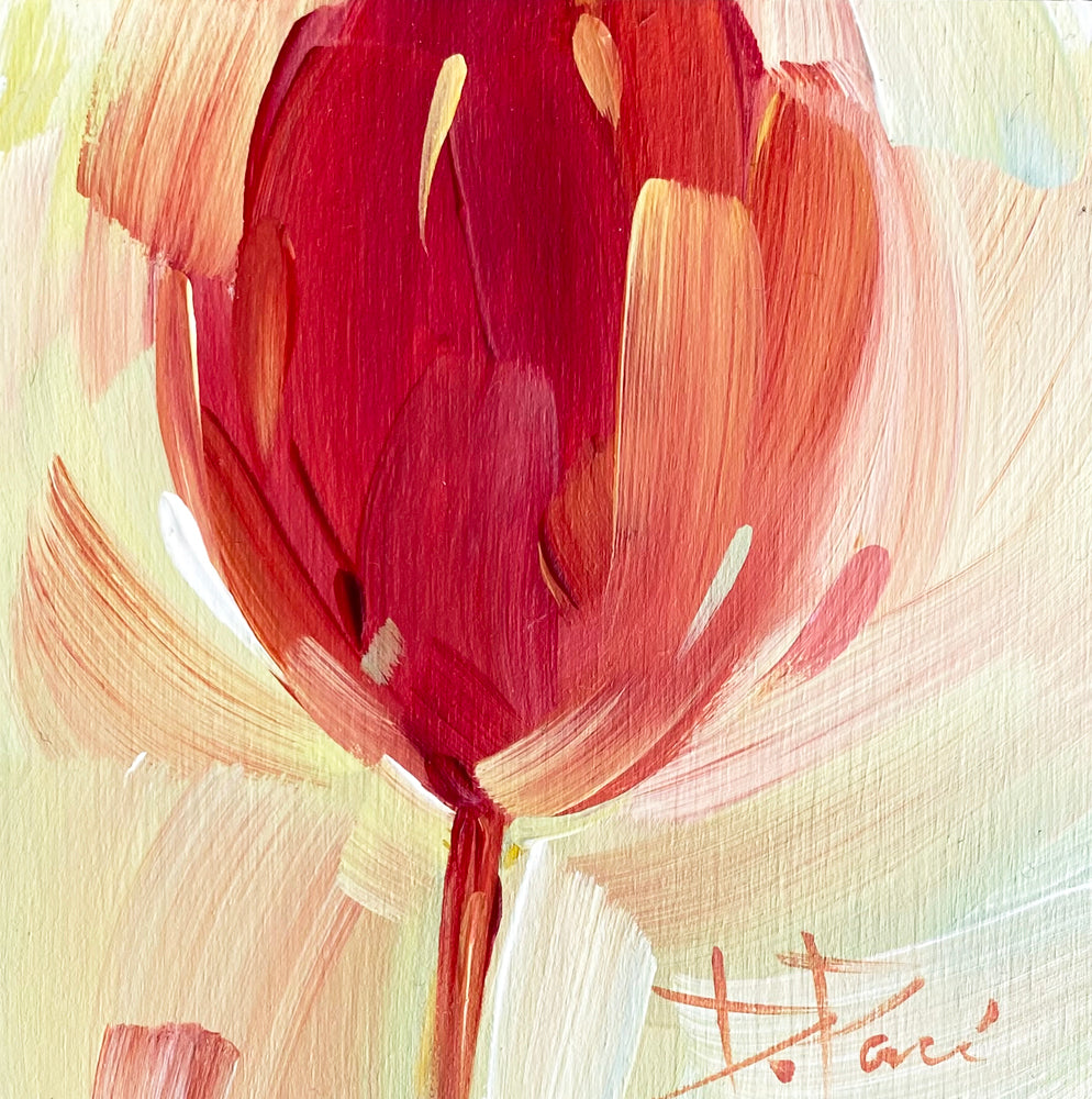 Tulipa Series