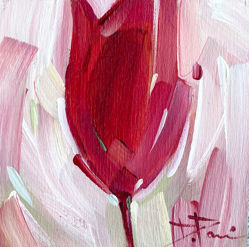 Tulipa Series