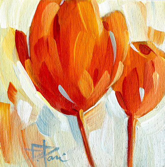 Tulipa Series
