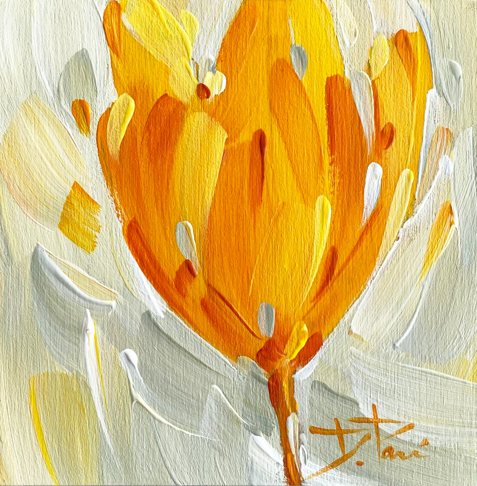 Tulipa Series