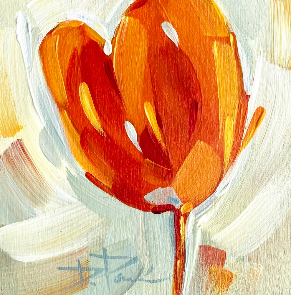Tulipa Series