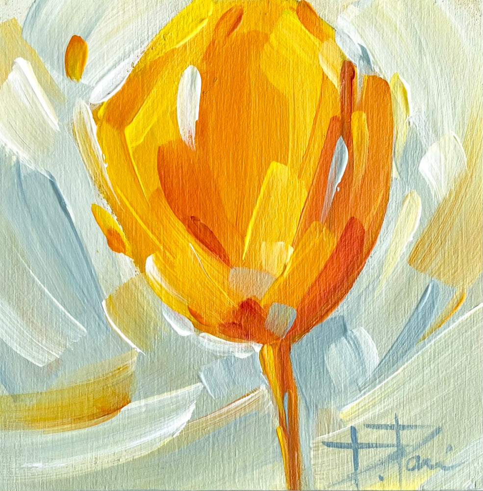 Tulipa Series