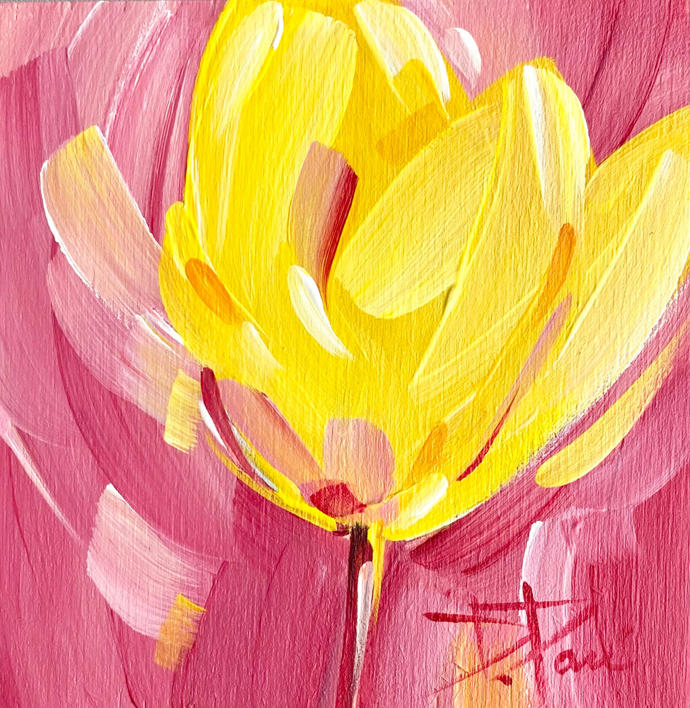 Tulipa Series