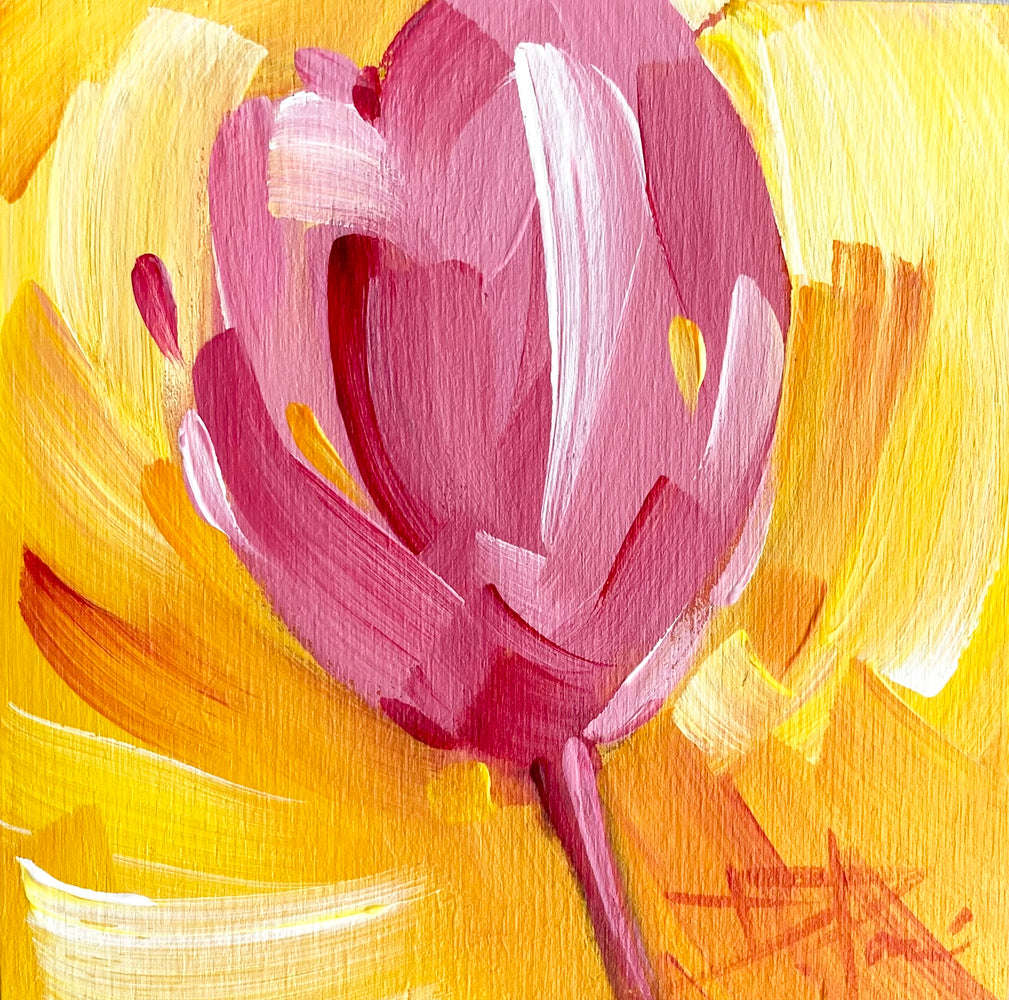 Tulipa Series