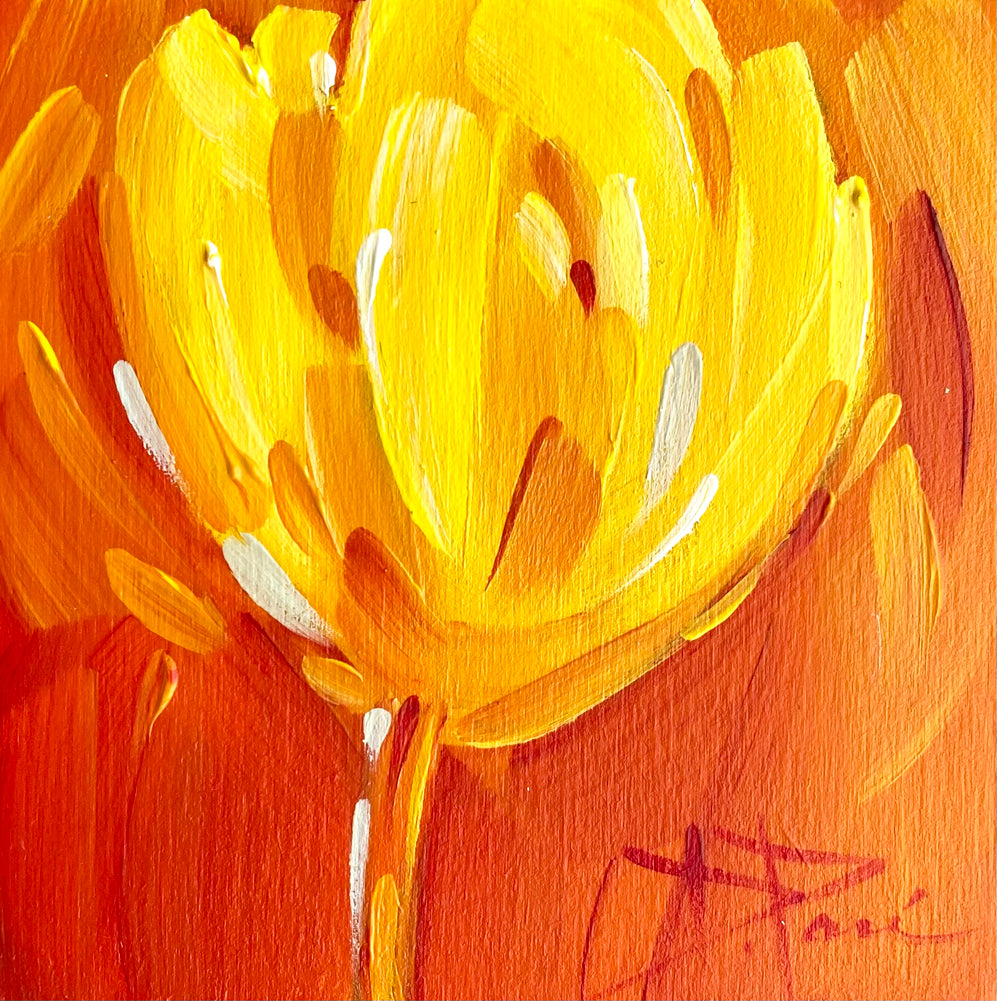 Tulipa Series
