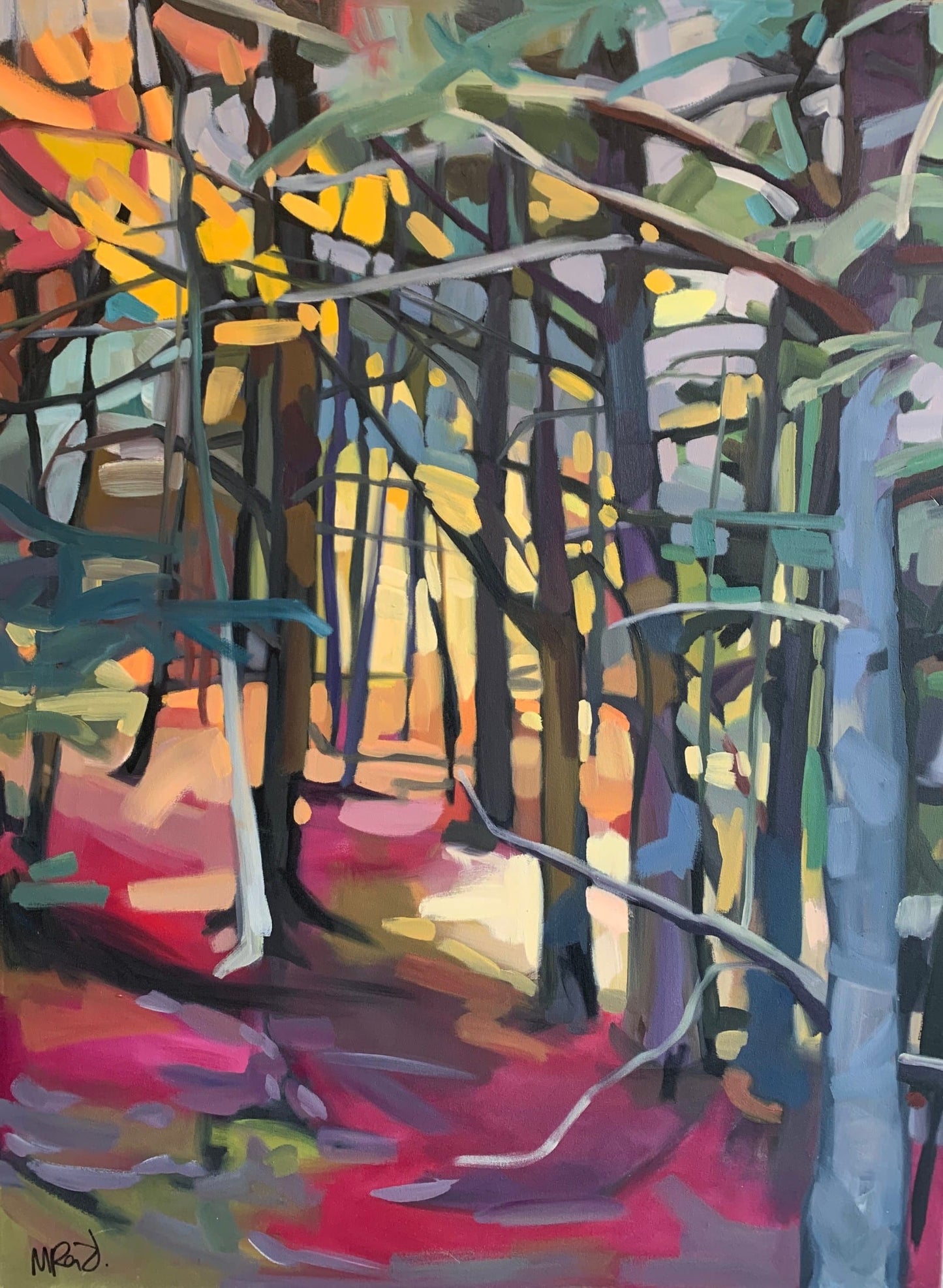 Santini Gallery | Gatineau Hills