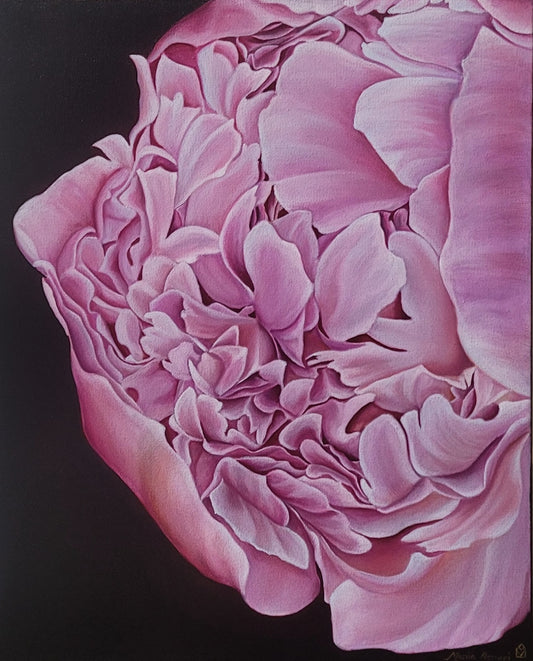 Vintage Peony II