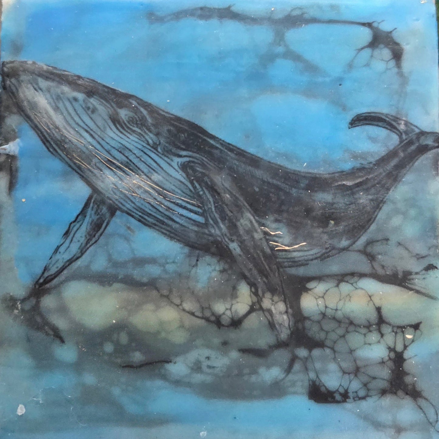 Blue Whale