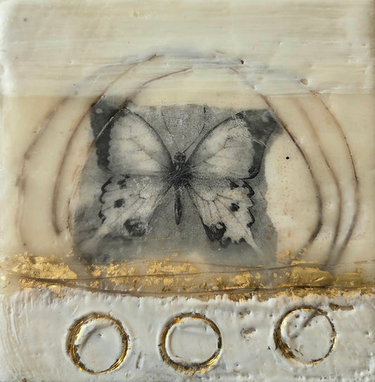 Butterfly Circles