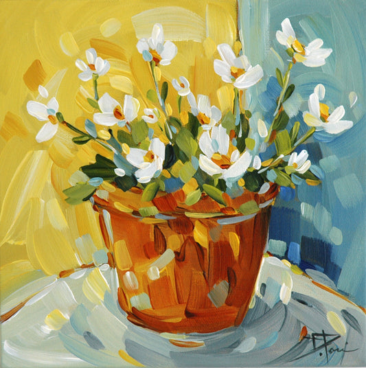 Fleurs du Midi