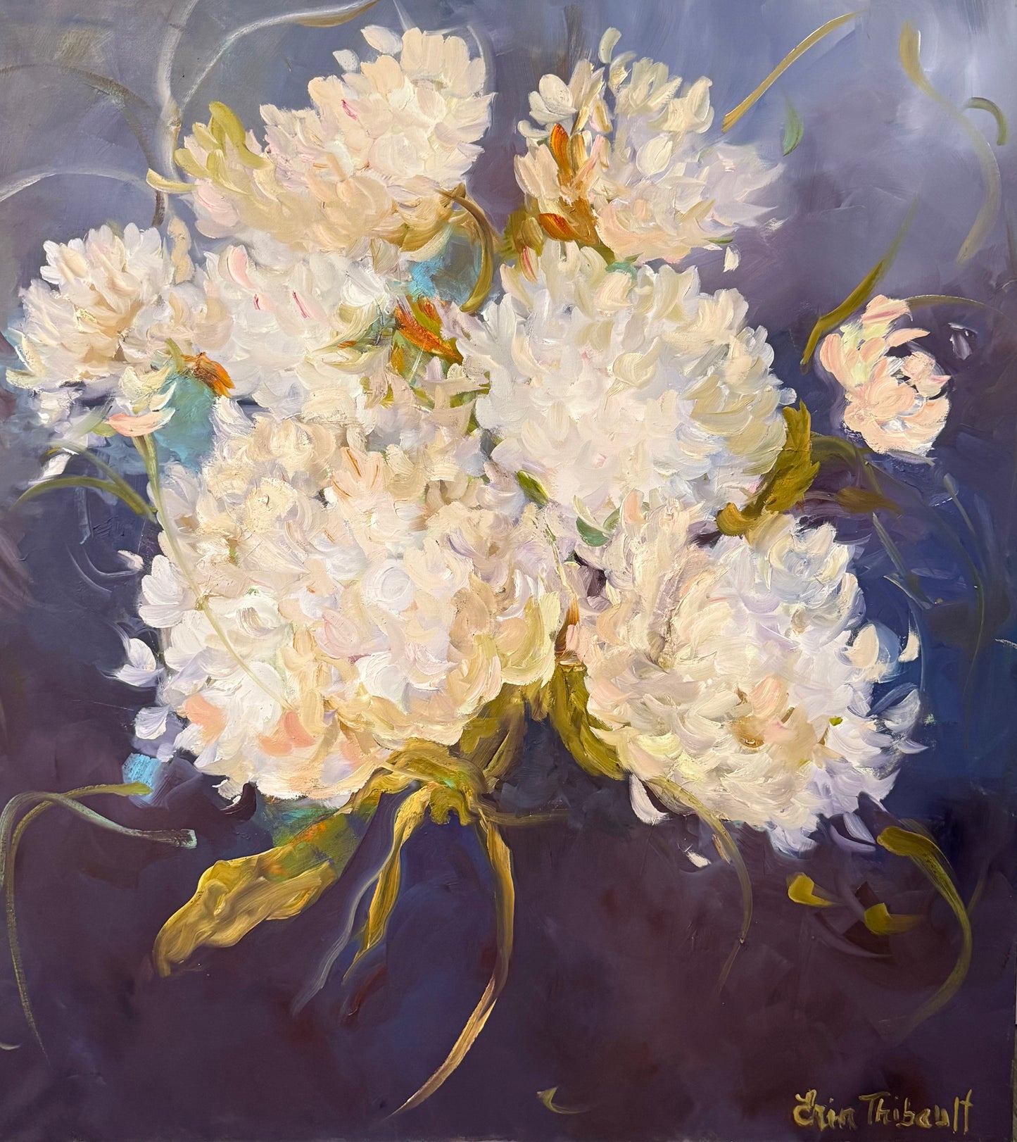 Hydrangea