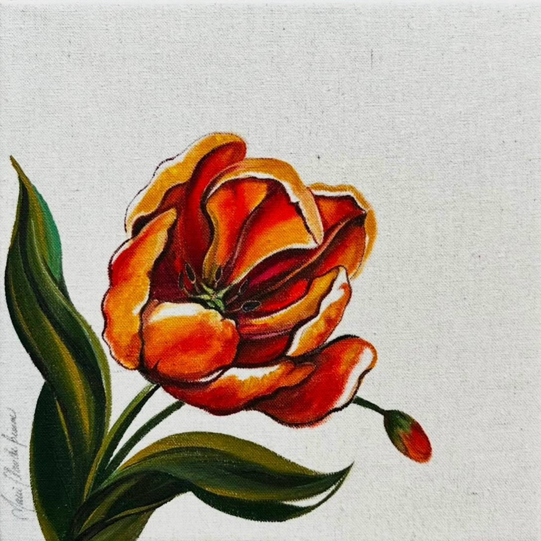 Perroquet Tulip