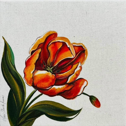 Perroquet Tulip