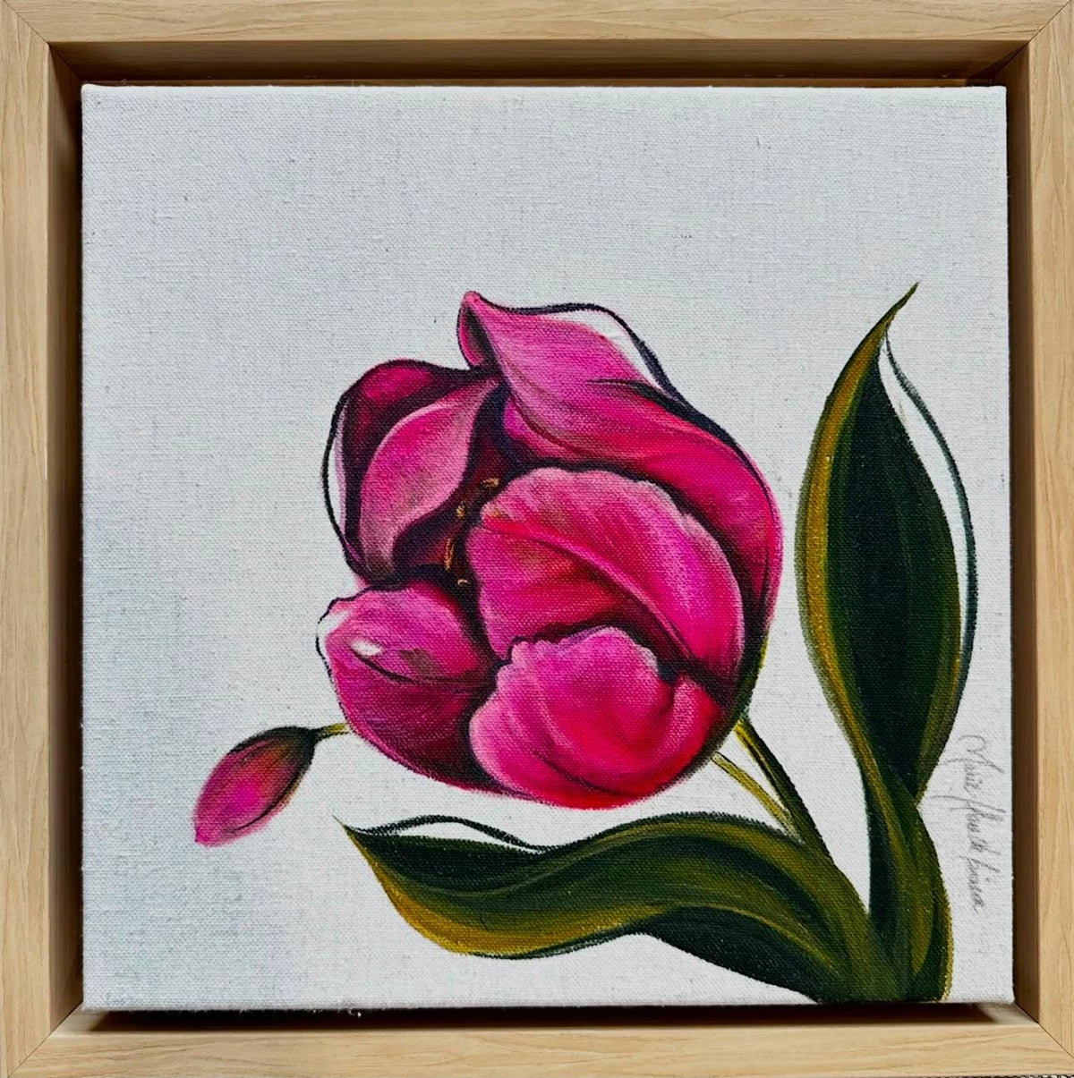 Triumph Tulip