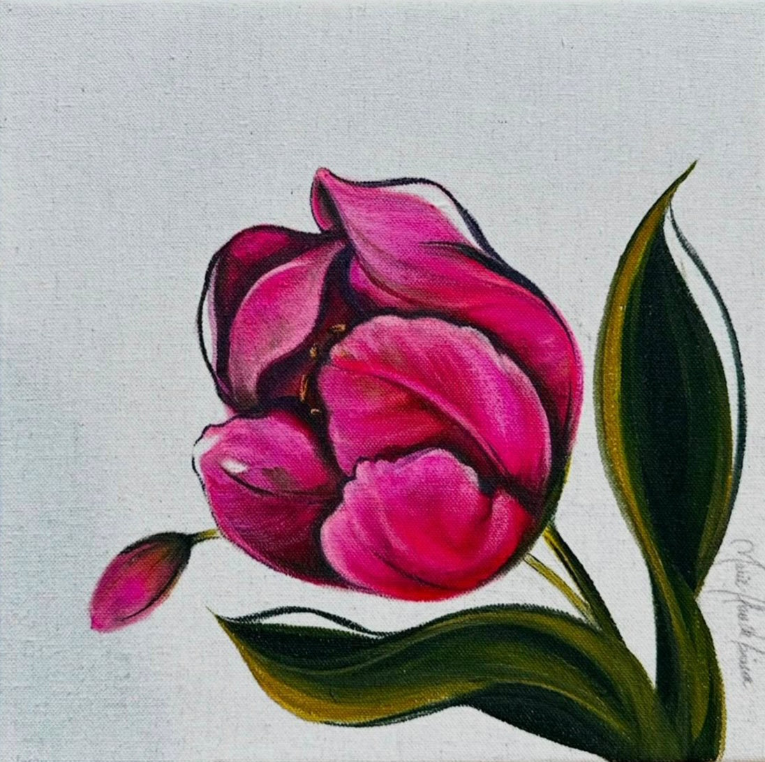 Triumph Tulip