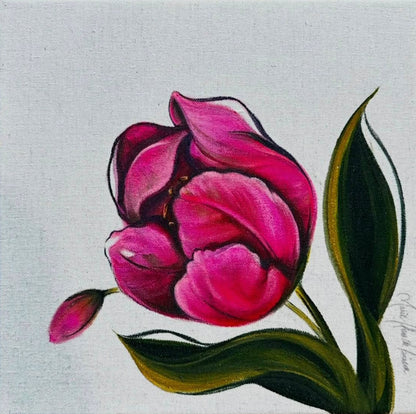 Triumph Tulip