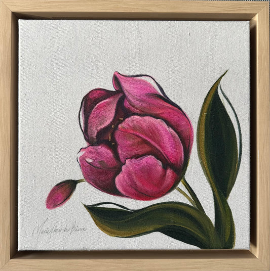 Triumph Tulip