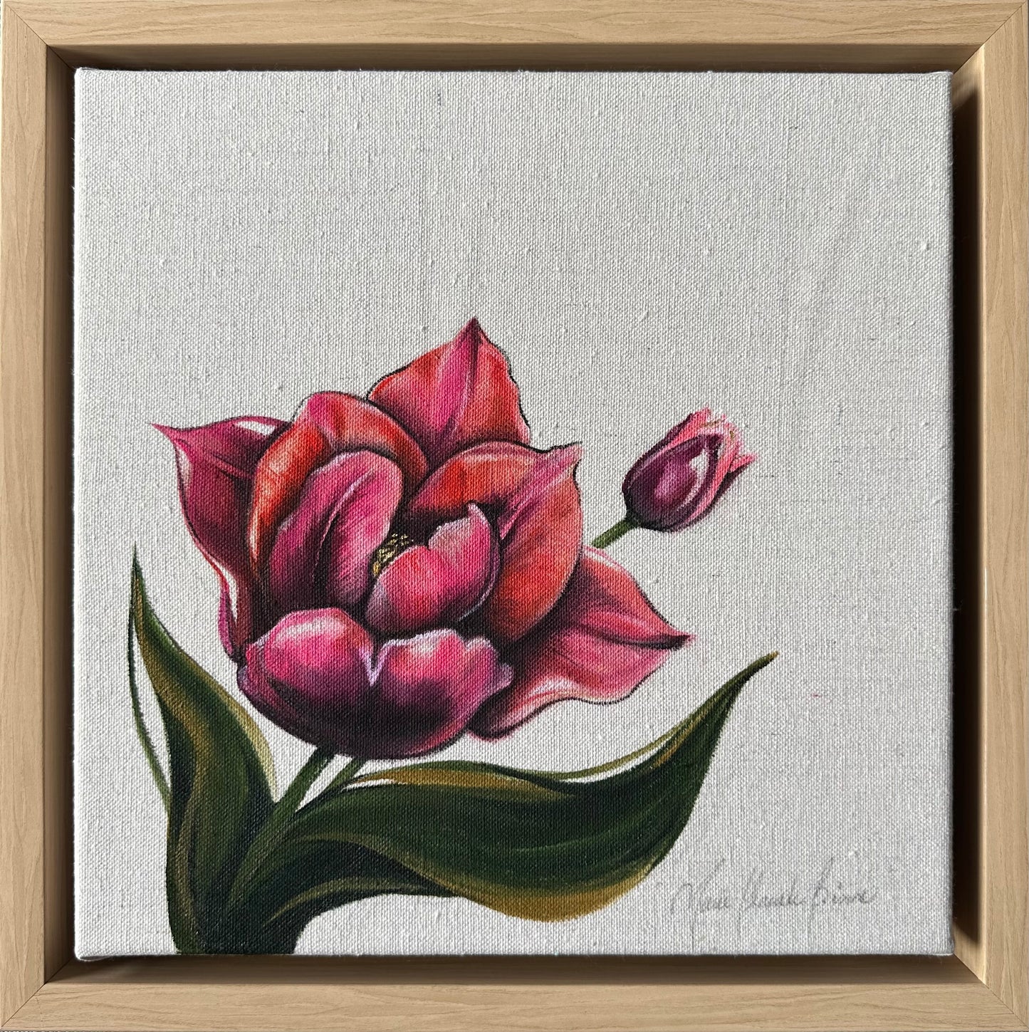 Slawa Tulip