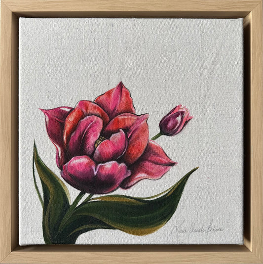 Slawa Tulip