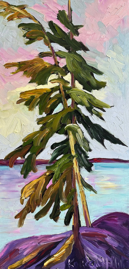 My Temagami Pine