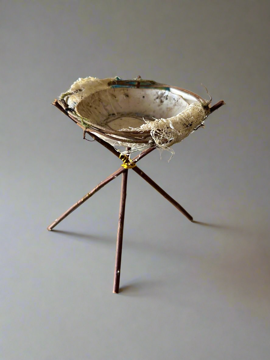 Nest II