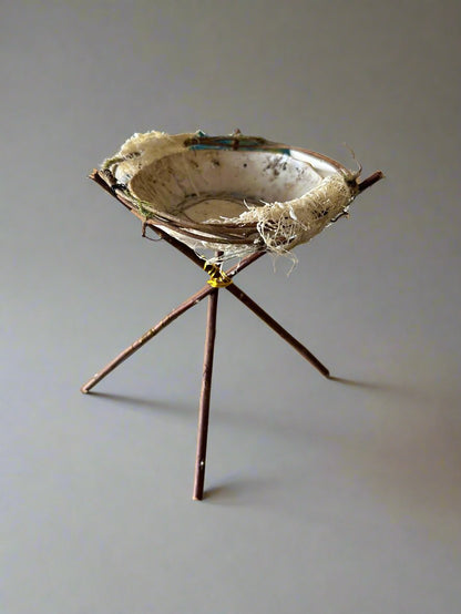 Nest II