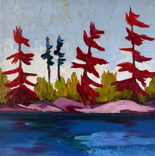 Paddling Algonquin Park, Algonquin Park, Ontario