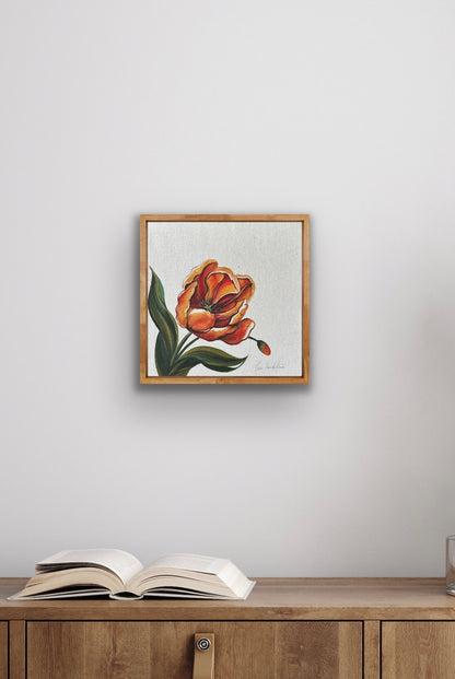 Perroquet Tulip