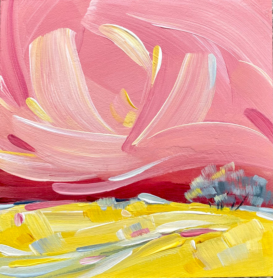 Raspberry Sky