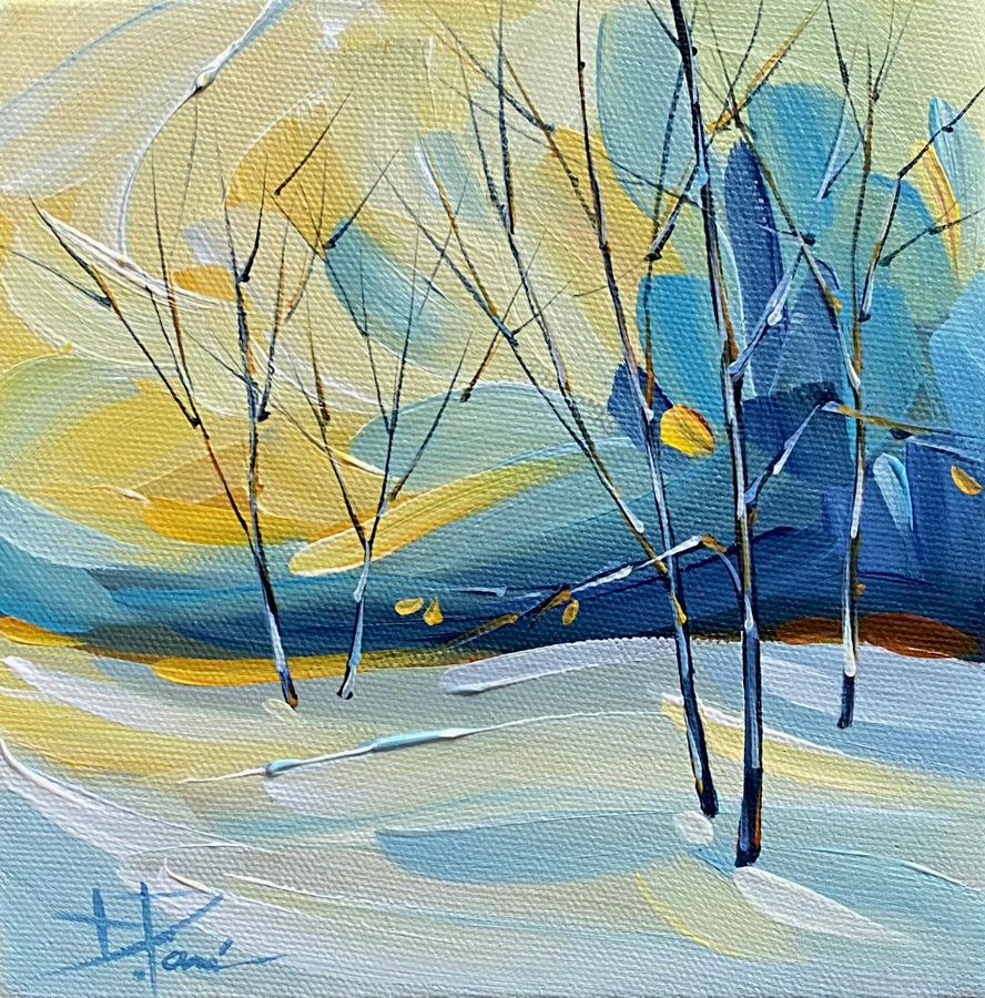 Sky Light by Danielle Pare