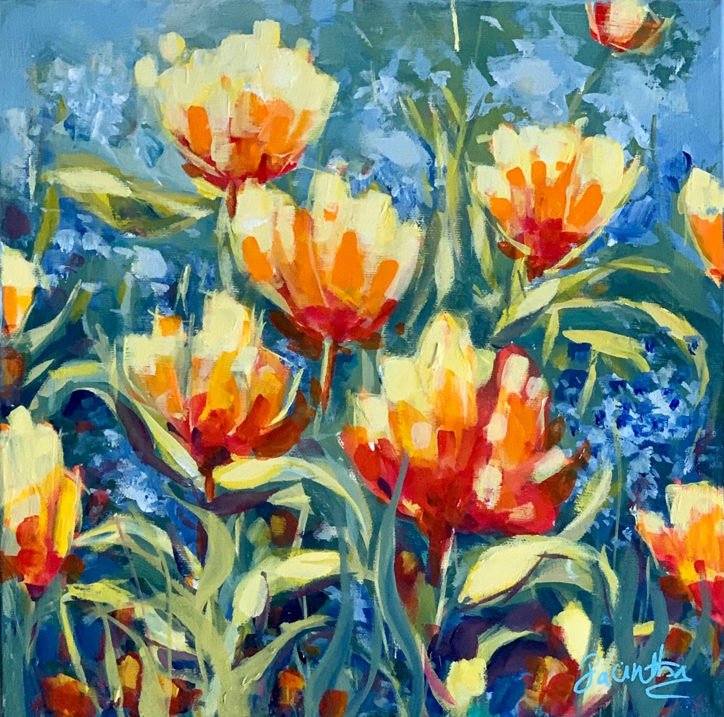Tulip Garden by Jacintha Krish