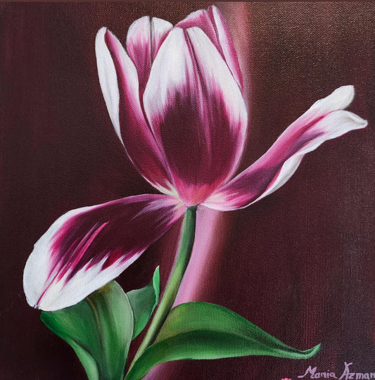 Dancing Tulip