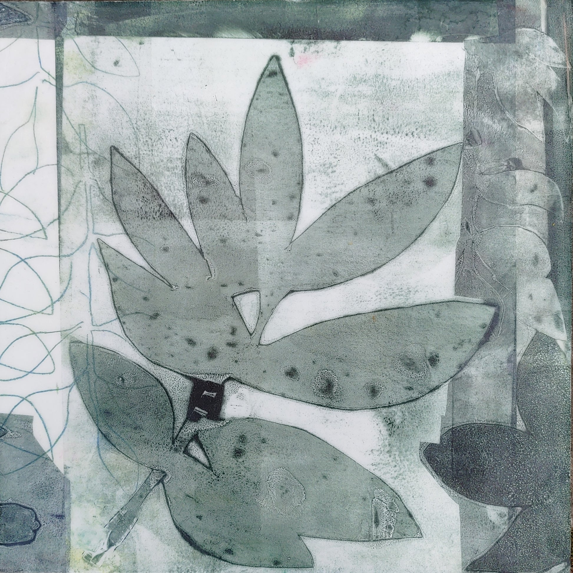Santini Gallery | Garden Series