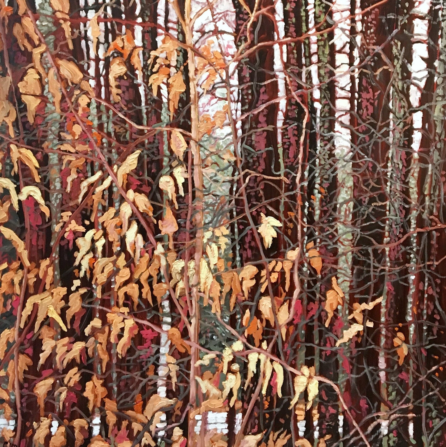 Santini Gallery | Autumn Leaves at Meecham Lake