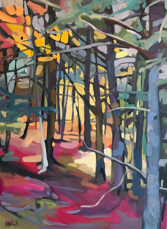 Santini Gallery | Gatineau Hills