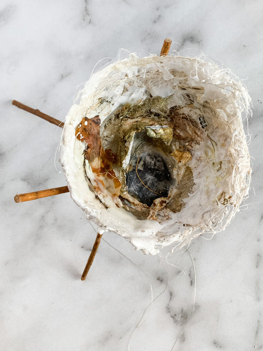 Angel Nest
