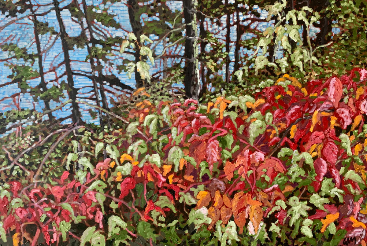 Santini Gallery | Fall Day on Meehcam Lake